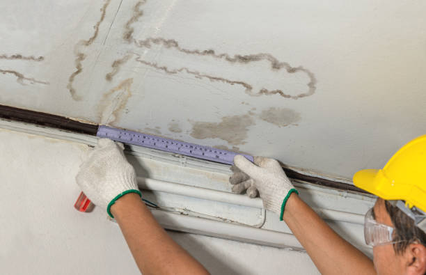 Reliable Water Damage contractor in Collinston, UT by Water Damage Irwin